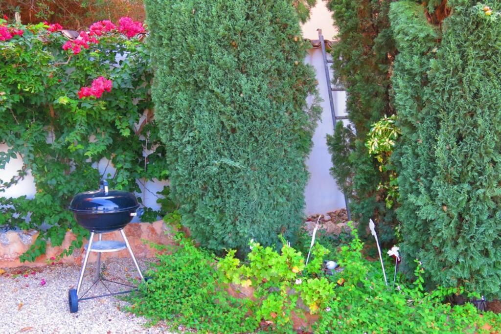 Puerto de Sóller Apartamento Gran Terraza Privada Y Vistas Al Mar מראה חיצוני תמונה